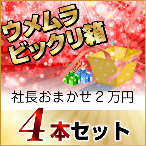 2016年秋 びっくり箱Q(社長おまかせ4本)(2万円) 2016年秋 びっくり箱Q(社長おまかせ4本)(2万円)