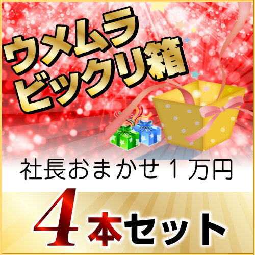 2016年秋 びっくり箱P(社長おまかせ4本)(1万円) 2016年秋 びっくり箱P(社長おまかせ4本)(1万円)
