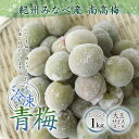 紀州産の南高梅 冷凍青梅 紀州みなべ産 梅酒や梅ジュースに!