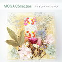 【あす楽】 髪飾り MOGA かすみ草 紫陽花 | 成人式 花 セット マム 花飾り 和装 ヘアアクセサリー ヘアーアクセサリー 成人式 卒業式 入学式 結婚式 ウェディング ウエディング 髪飾り 色打掛 浴衣 振袖 着物 卒業袴 ヘッドドレス かすみそう プリザーブドフラワー