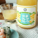 知多グレープフルーツ 720ml【丸石醸造/愛知県】