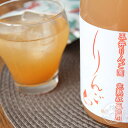 御湖鶴 完熟 紅玉りんご酒 720ml【菱友醸造/長野県】【クール宅急便/冷蔵】