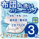 【クーポン対象+週末P3倍】布団 クリーニング 3枚 丸洗い 生地の汚れ シミ 花粉 ダニ ホコリ スッキリ 防ダニ おねしょ おもらし【キャッシュレス5%還元】【往復送料無料※一部除く】