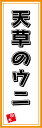 のぼり旗【天草のウニ】
