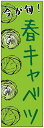 のぼり旗春キャベツのぼり旗・野菜のぼり旗 寸法60×180 丈夫で長持ち【四辺標準縫製】のぼり旗 送料無料【5枚以上で】のぼり旗 オリジナル/文字変更可/条件付き送料無料