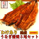 【訳あり】国内産うなぎ蒲焼5尾セット訳ありだけど、味は同じ!...