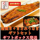 【蒲焼き&きざみうなぎギフトセット】約2人分国内産