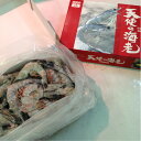 【刺身用】と~っても甘い♪ 天使の海老 30~40尾入 たっぷり1kg! 刺身はもちろん エビフライ 天ぷら エビチリにも!