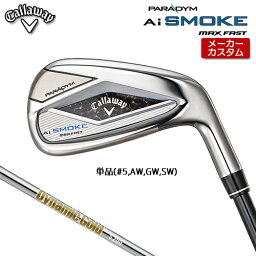 【メーカーカスタム】キャロウェイ PARADYM Ai SMOKE MAX FAST 単品 アイアン 右用 (#5、AW、GW、SW) Dynamic Gold HT スチールシャフト [日本正規品] 【 2024年モデル 】 パラダイム エーアイ スモーク マックス ファスト 【 キャロウェイ アイアン 】