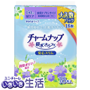 チャームナップ吸水さらフィ安心スリム長時間安心用18枚