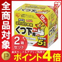 【30足用(1足あたり約52.7円】貼るくつ下用カイロ 30...