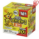 【30個入り(1個あたり約29.4円)】貼るカイロ
