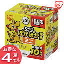 カイロ 貼るタイプ ミニサイズぽかぽか家族 貼るタイプ ミニ...