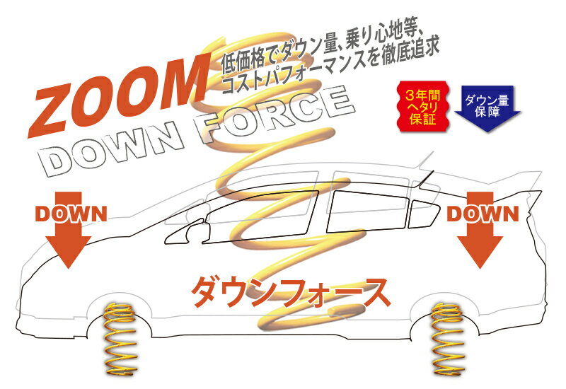 [ZOOM]20DK プジョー205(1.9L/フロントのみ)用ダウンサス