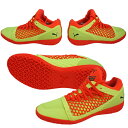 フットサルシューズ 【プーマ puma 365 NETFIT...
