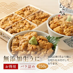 【楽天グルメ大賞受賞】無添加生うにお得用バラ詰め250g【日付指定不可】【3～4人前】【ミョウバン不使用】【訳あり】【色・形不揃い・無選別】【未冷凍】うに <strong>むらかみ</strong> ご自宅用　うに ウニ 北海道