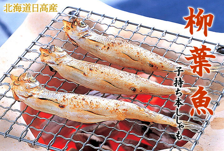 ̳ƻΤդäݤܤ̳ƻ⻺һܤ᥹40̵ 0825ؤ̵