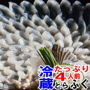 ふぐ刺し、魚屋が作る未冷凍のふぐ刺身たっぷり4人前送料無料河豚、てっさ、とらふぐ