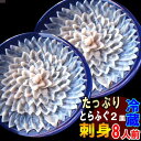 ふぐ刺し、魚屋が作る未冷凍ふぐ刺身8人前お得な2皿ふぐセット送料無料フグの王様 トラフグ、河豚