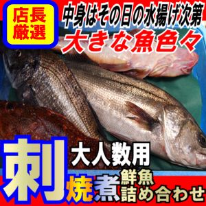 大人数用！迫力のウハウハセット【パート3】総重量5kg以上業務用、パーティ用に！旬の美味しい魚が食べられるのは魚のプロのお陰です。漁師、鮮魚店、宅配便、楽天市場、携わるすべての皆様に感謝！水揚げ翌日にはお手元に届きます♪