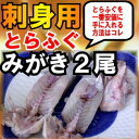 とらふぐ2尾活き〆みがき発送お刺身6-8人前送料無料