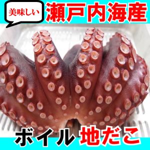 瀬戸内海産まだこボイルしてお届け！約500-600g