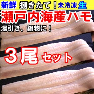 【送料無料】瀬戸内海産ハモ3尾セット