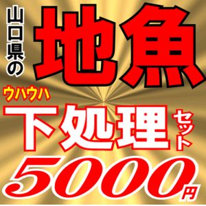 魚かつの下処理鮮魚セット5000円分...:uokatsu:10001740