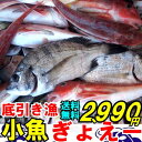 <10月中旬発送>何が入るか分からない底... <10月中旬発送>何が入るか分からない底...