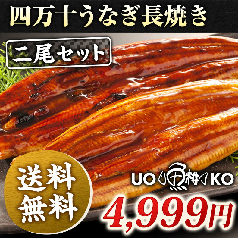 四万十うなぎ長焼き2尾セット日本最後の清流、四万十川の恵みで育った自慢のウナギさらにきもす…...:uoko-ec:10000517