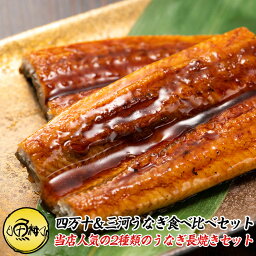 母の日 ギフト うなぎ 四万十＆三河産うなぎ 食べ比べセット 詰め合わせ 四万十うなぎ 110g 愛知県三河一色産うなぎ 140g 蒲焼き 長焼き 2尾セット 【兼光/ウナギ/鰻/国産/国内産/かば焼き/お取り寄せ/母の日/プレゼント/食べ物/花以外/贈答/高級/unagi】