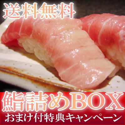 【送料無料】贈る鮨詰めBOX!"より幸》人気商品"詰め合わせ「中トロ&!つのとろ」特典ねぎとろ  【駅伝_セール】【駅伝_ポイント10倍】