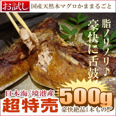 国産天然本まぐろ特別大漁卸市【大とろかままるごと/お試し"】驚き1本500g脂ノリノリ★奏でる脂に舌鼓♪炙り焼き/包み焼に最適