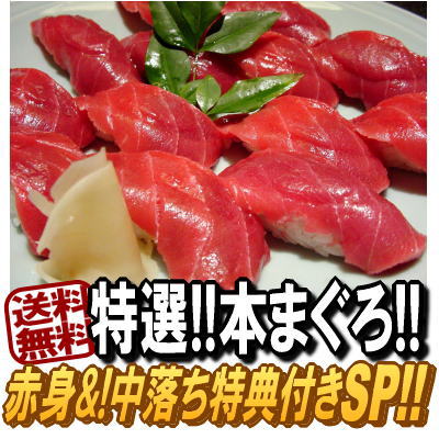 【送料無料】ギフト★スペシャル!!特選本まぐろ!!天身部位『厳選赤身』さらにうれしい♪『中落ち』特典付き！@より幸》感謝贈る!! 詰め合わせSP〜★■北海道・九州・沖縄・離島は別途送料500円■