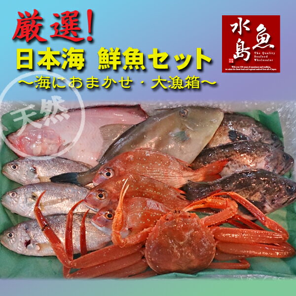厳選 日本海の鮮魚セット「海におまかせ・大漁箱」 大満足詰め合わせ...:uomizushima:10000005