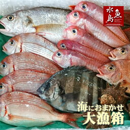 厳選 日本海の鮮魚セット「海におまかせ・<strong>大漁</strong>箱」 大満足詰め合わせ