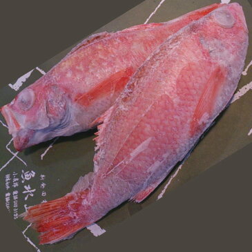 【送料無料】のどぐろ 新潟・日本海産 ノドグロ 400g以上・3尾（生冷凍）