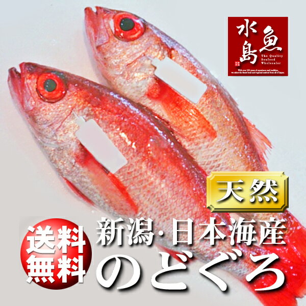 【送料無料】のどぐろ 新潟・日本海産 ノドグロ 600g以上・2尾（生冷凍）...:uomizushima:10000086