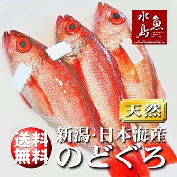 【送料無料】のどぐろ 新潟・日本海産 ノドグロ 400g以上・3尾（生冷凍）