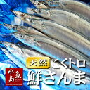 秋刀魚 こくトロ生サンマ 刺身用 特大2kg 12〜15尾...
