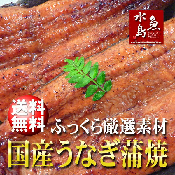 【送料無料】国産 鰻うなぎ蒲焼き ふっくら厳選素材 約30cm特々大 約200g×4尾 父…...:uomizushima:10000008