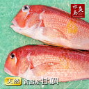 【送料無料】新潟産 天然 甘鯛 アマダイ(グジ)1,500g以上・2尾(生冷凍)