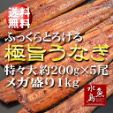 【送料無料】炭火焼 鰻うなぎ蒲焼き ふっくらとろける極旨ウナギ 約30cm特々大 約200g×5尾 メガ盛り1kg 父の日ギフト/土用丑の日/お中元