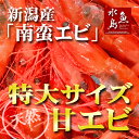 新潟産 甘エビ「南蛮エビ」鮮度抜群・刺身用 極上特大サイズ500g(冷凍)