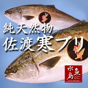 天然 寒ブリ「佐渡 寒ぶり」3kg以上4kg未満 一尾丸もの...