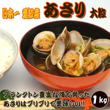 【送料無料】活きたままお届け♪ 日本一 愛知産 あさり [大] 1kg　　　　　　[シーフード][海産物][生貝][生け貝][浅蜊][浅利][酒蒸し][お味噌汁][バター焼き][ボンゴレ][パスタ]