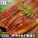 バーベキュー にも!【期間限定1480円!】【 最安挑戦!限...