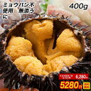 うに 雲丹 ウニ 冷凍生うに 無添加 100g×4パック 送...