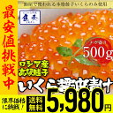 【期間限定5600円 】秋鮭卵を使用!いくら イクラ 本いくら いくら醤油漬け 500g入り 期間限定 最安値に挑戦 ロシア産 送料無料 安価な鱒子ではありません。 【注意】北海道、沖縄は追加送料を756円加算し、ご請求いたします。