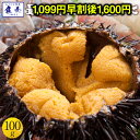 【早割価格1099円!早割終了後1600円】【最安値に挑戦中】うに 雲丹 ウニ 冷凍生うに